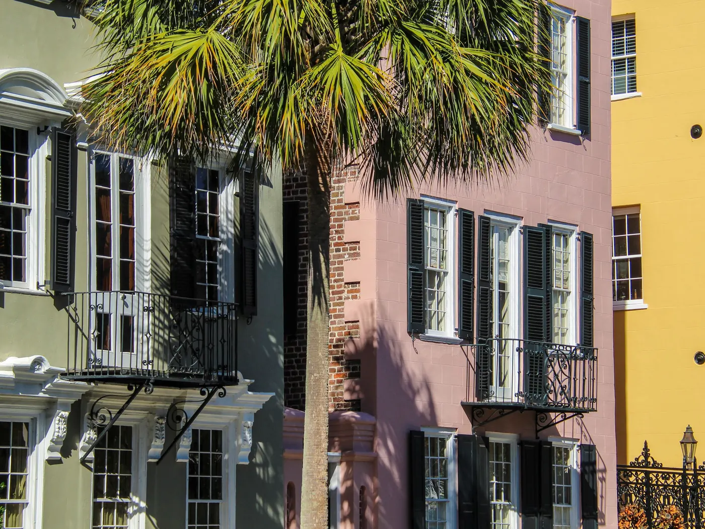 Pink and yellow historic Charleston houses with black shutters and wrought-iron balconies, a palmetto tree in front of the pink one